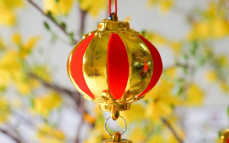 Dụng cụ trang trí cho cây mai