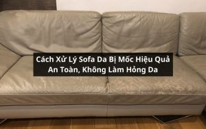 cách xử lý sofa da bị mốc