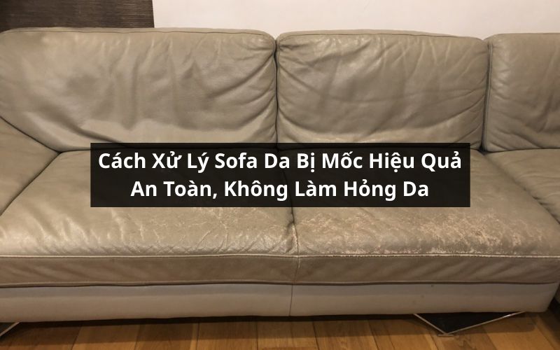 cách xử lý sofa da bị mốc