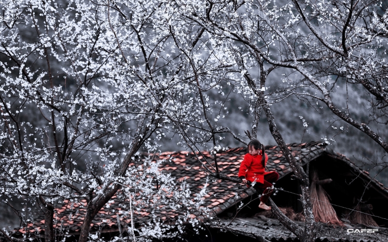 thời tiết mùa đông ở hà giang